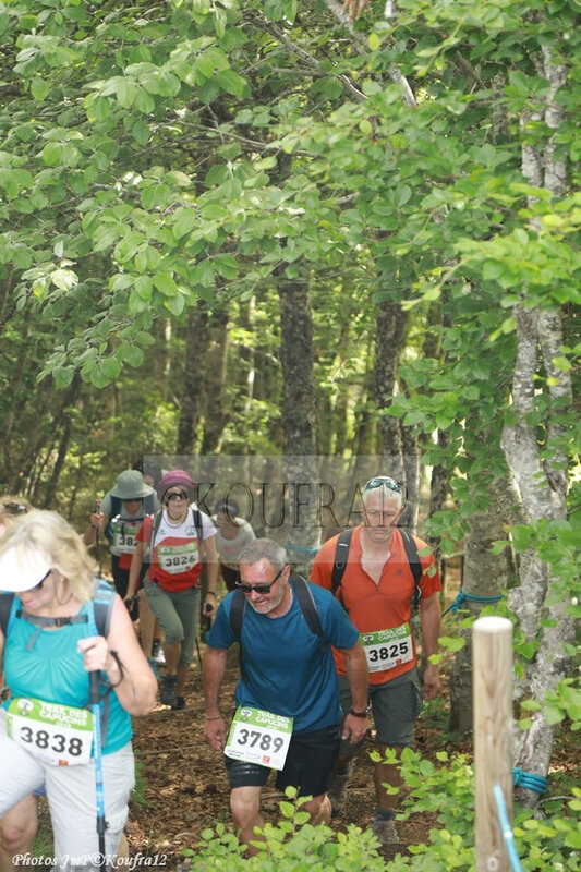 Photos JMP©Koufra 12 - Nasbinals - Trail - 23062019 - 00960
