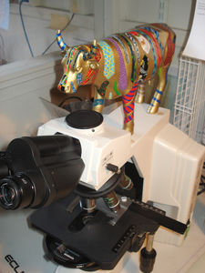 olavachemicroscope