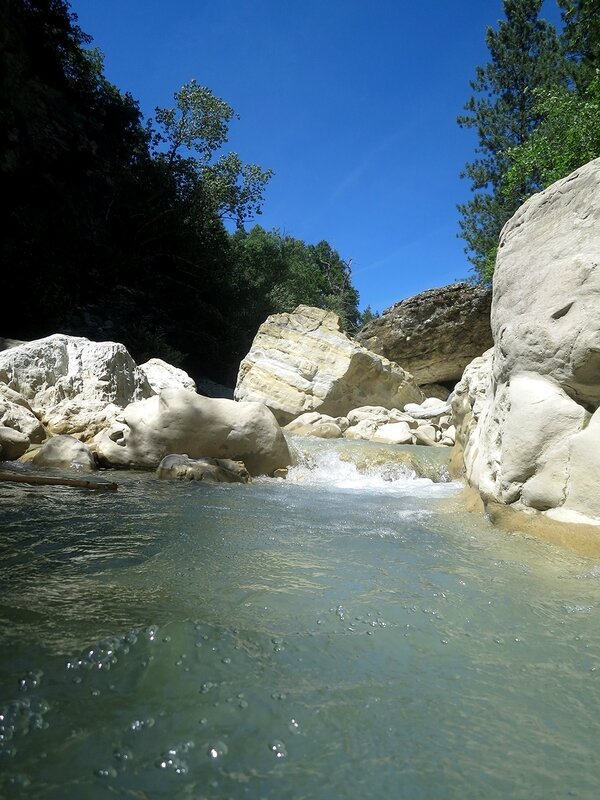 Bivouac découverte Juillet 17 (66)