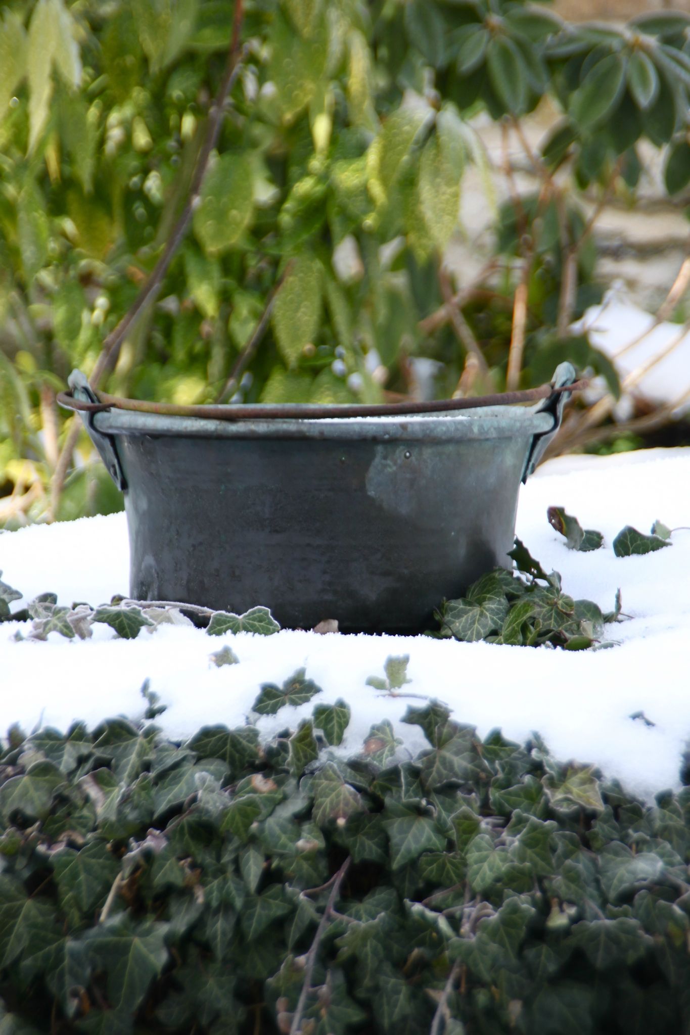 Neige