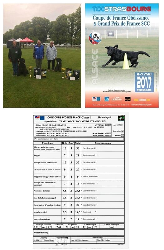 Coupe et Grand prix de FRANCE d'Obéissance...