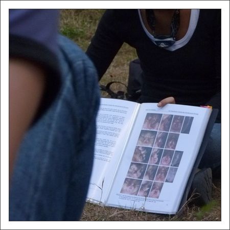 20_Sandrine_livre_images