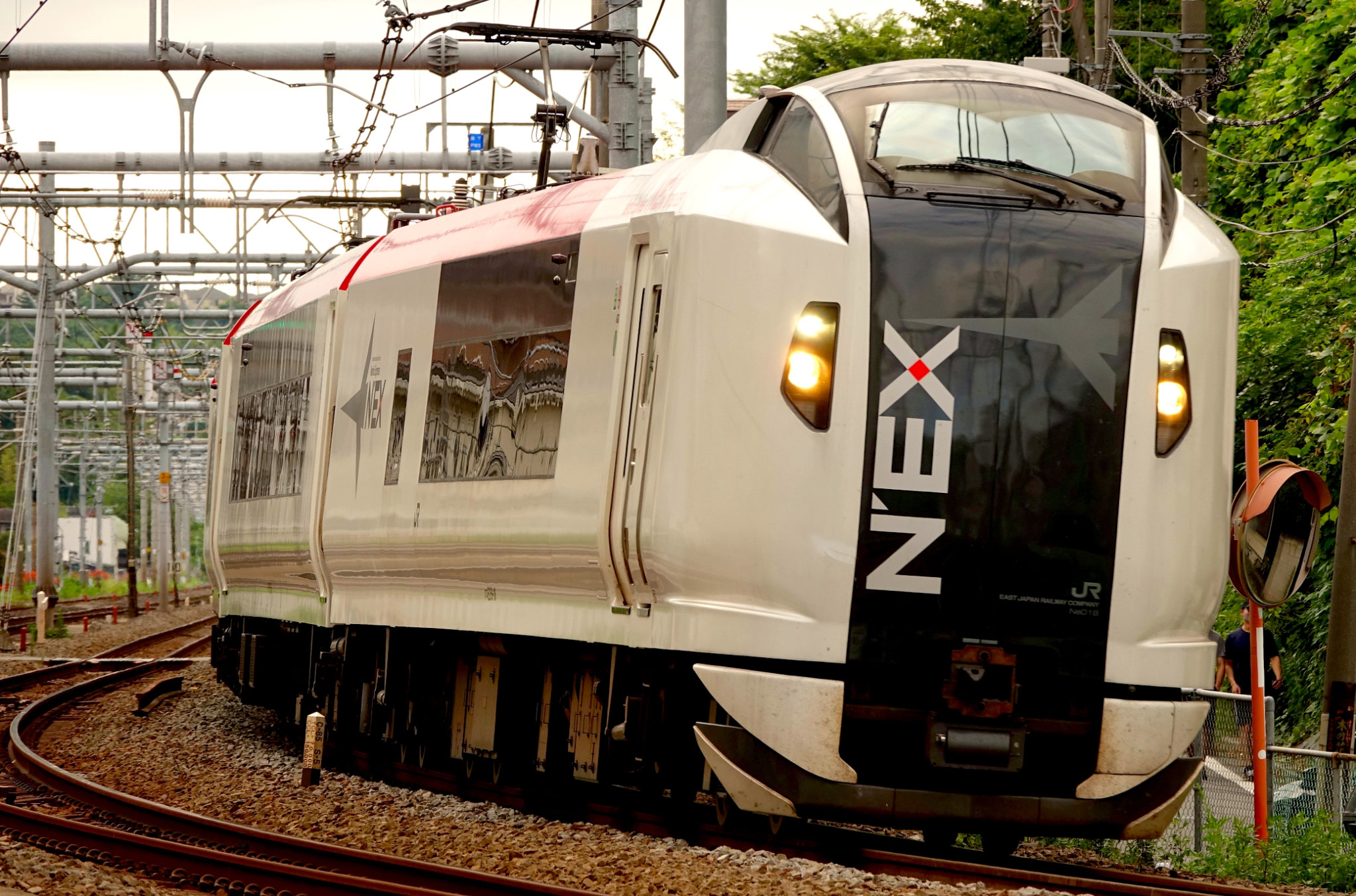 Narita Express train at Yokohama