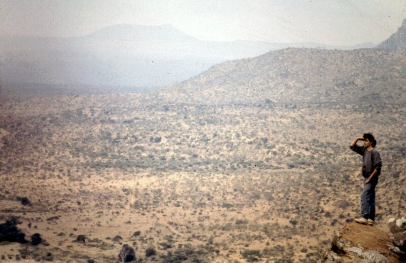 amboseli r nico