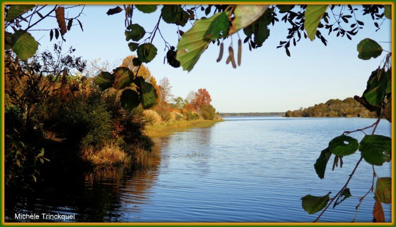 Lac Mimizan et arbres colorés