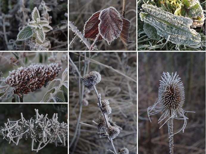 givre