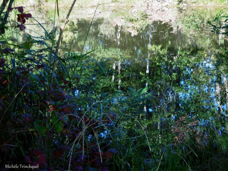 Etang de Moré, Ciel et ombres 150918