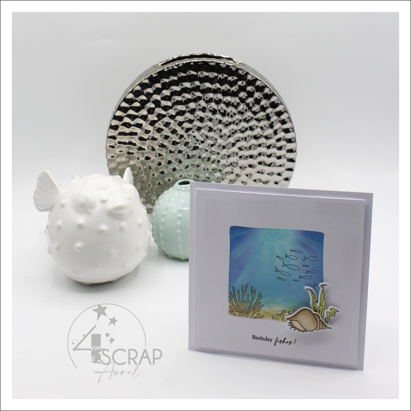 120522 - Cartes Fonds marins - AP E22 - J3 #2