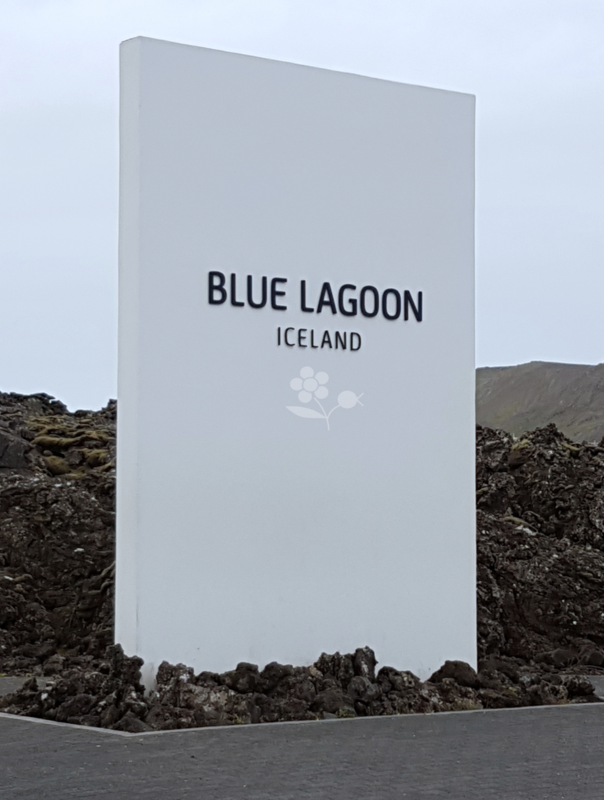 Blue Lagoon_1