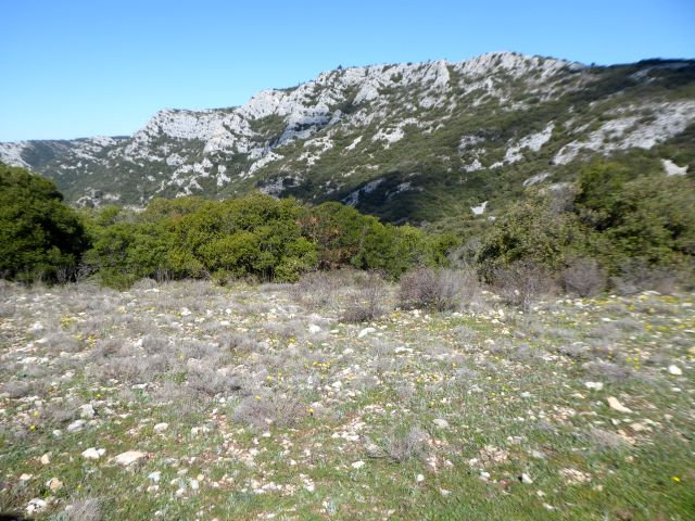 0 4