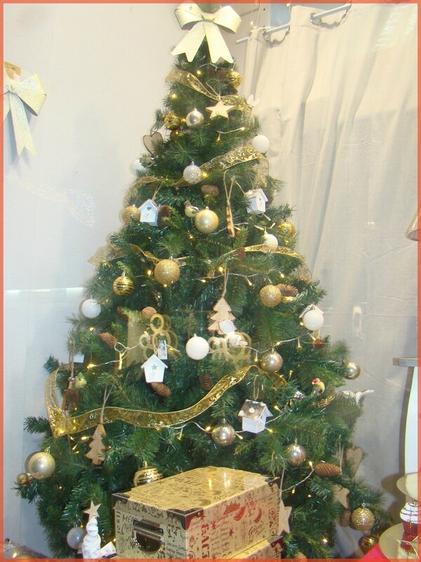 sapin1