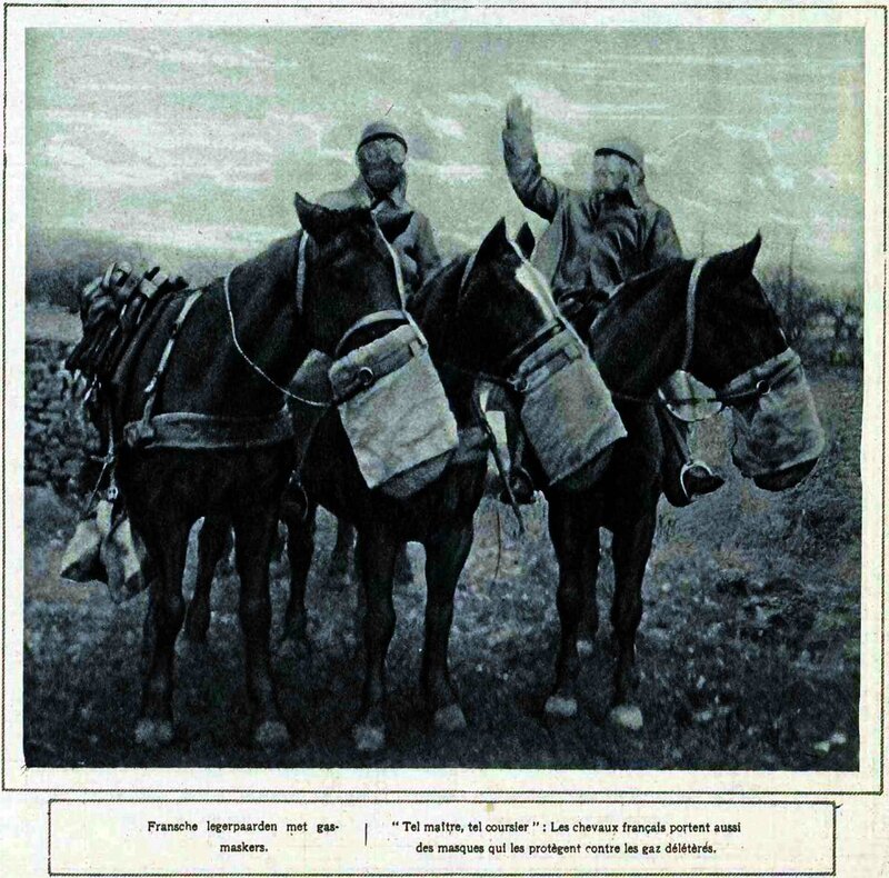 Chevaux masque à gaz