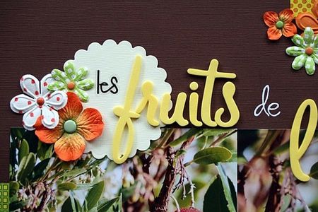 d_tail1_page_fruits_de_l_arbousier