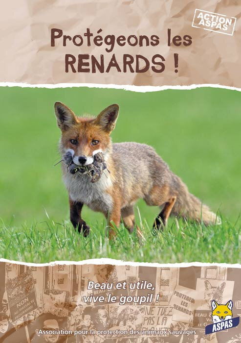 Depliant-renard-web