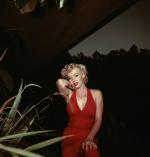 1954-PalmSprings-HarryCrocker_home-by_ted_baron-red-022-1