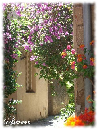 Provence_5