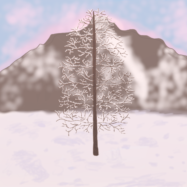 arbre hiver