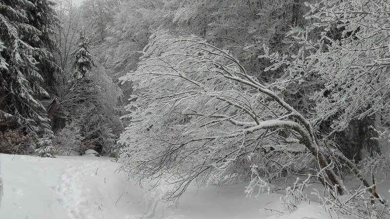 20190112_144302
