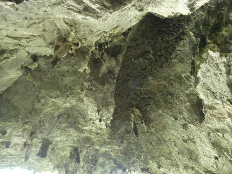 P1110279