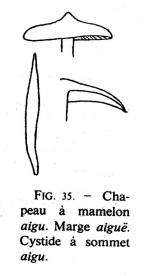 Jos 190 fig 35