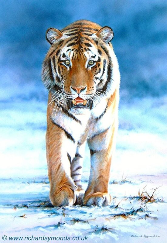 tiger-painting-richard-symonds