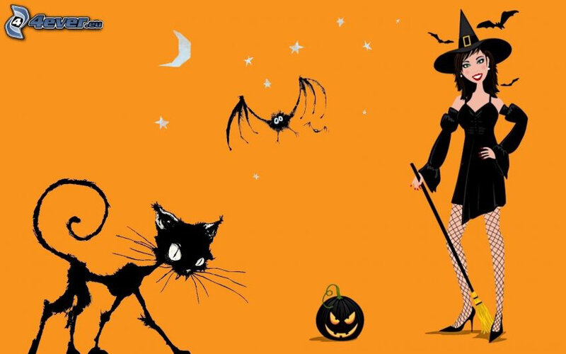 halloween,-sorciere,-chat-noir,-chauve-souris-159992
