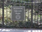 Madison_square_park_2