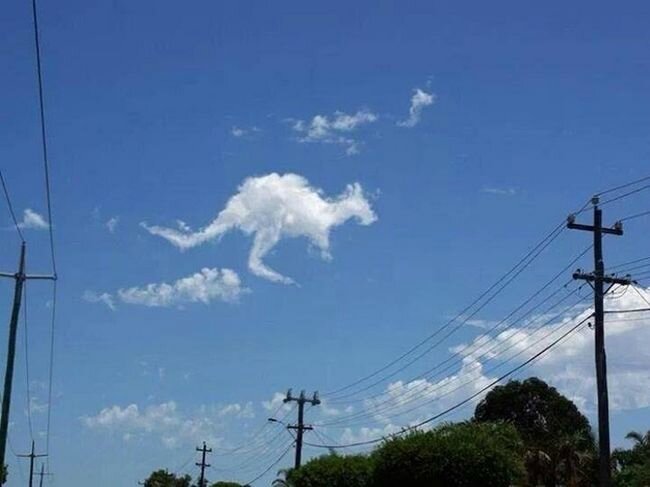 forme-nuage-kangourou