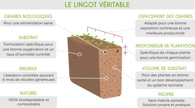 lingot veritable pour potager d'interieur