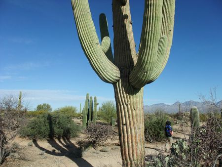 Tuscon Spring Break 2013 (6)