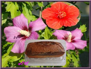 Cake aux hibiscus