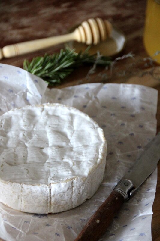 camembert