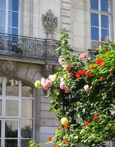 Jardin_St_Gilles_Grand_Veneur_03