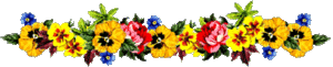 Gif barre fleurs multicolores