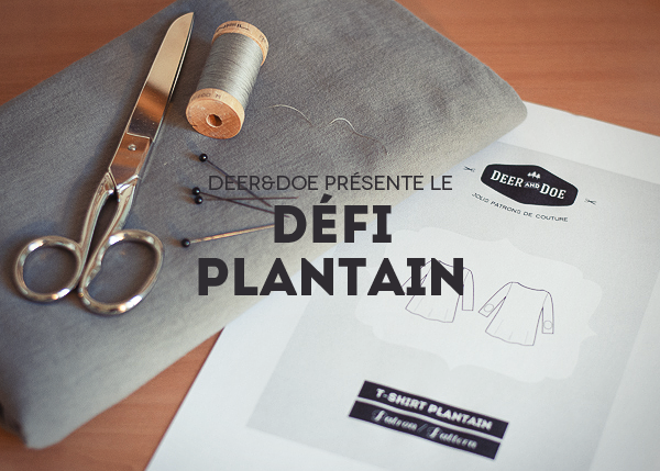 plantain_challenge_11