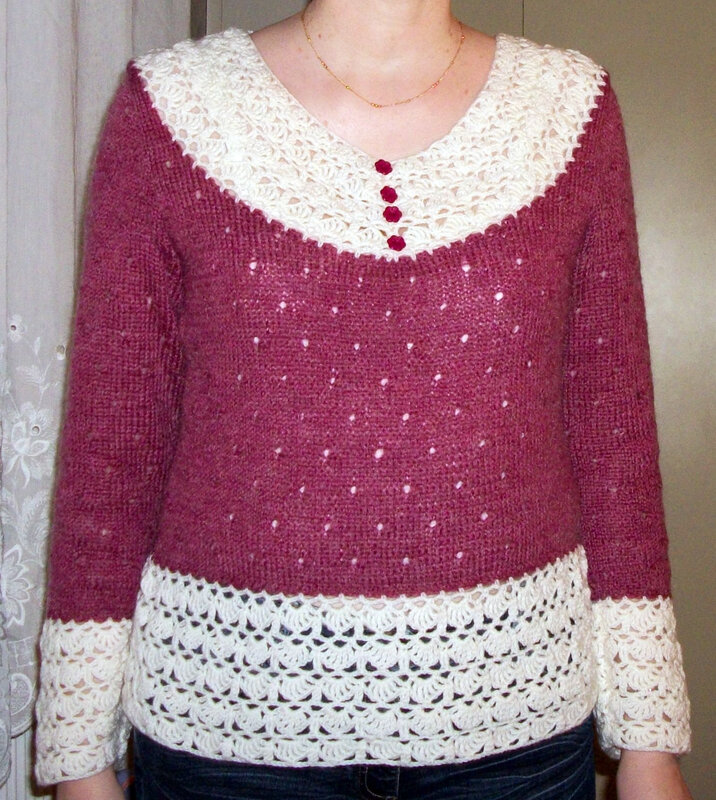Pull tricot-crochet inspiré Bergère de France