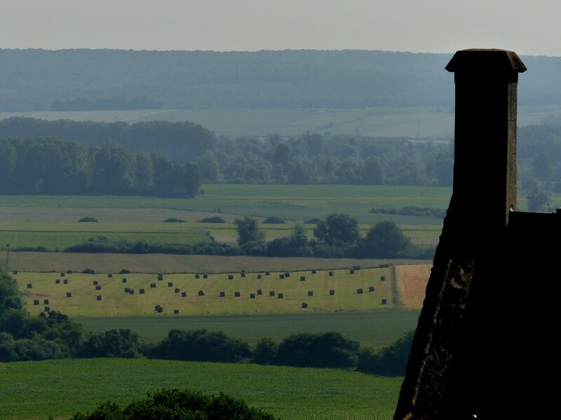 mont devant sassey montmedy (148)