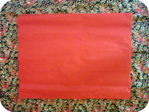 P1050069pn