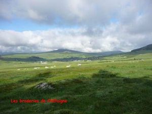 Le Mont Mézenc 09-06-2012-0038