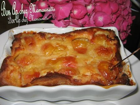 Cueillette_des_cerises_et_clafoutis_aux_Napol_on_bonapchezmamoune