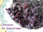 chou_rouge_flamande