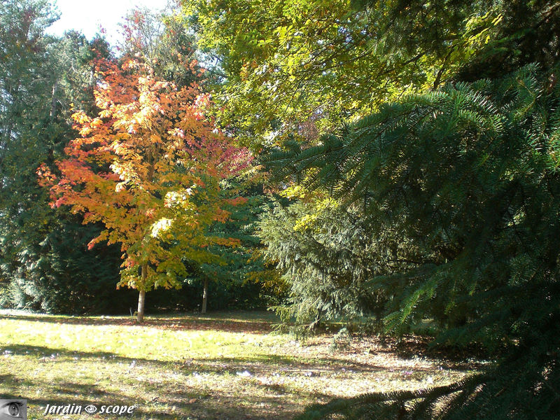 Couleurs d'automne 2010