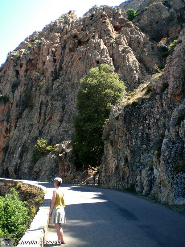 Calanche de Piana - la route étroite et sinueuse