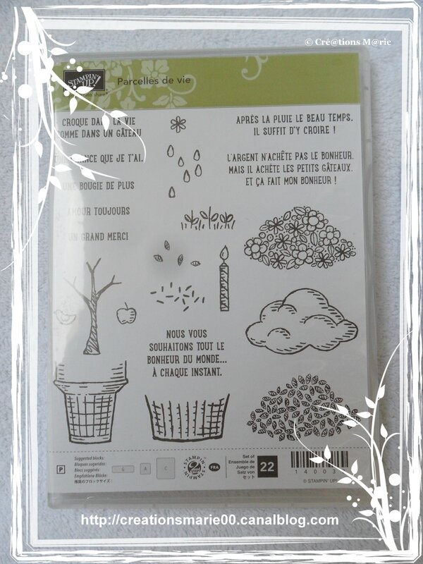 stampin up 2015 - 4