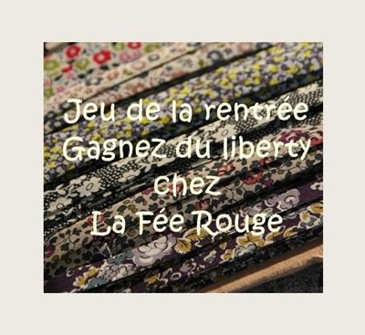 jeu_liberty2small