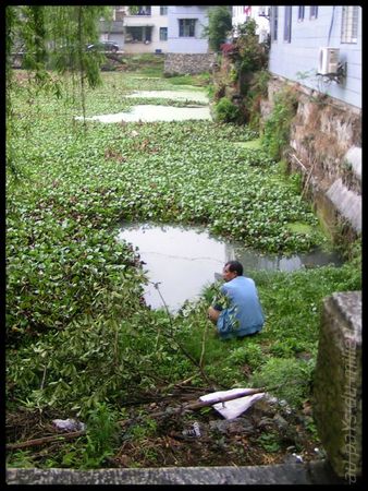 travelling de vies dans Yangshuo 03