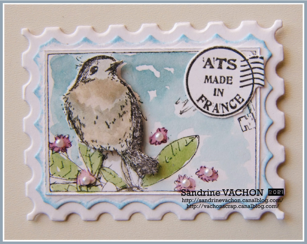 oiseau sandrine vachon dt