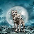 <b>1er</b> <b>janvier</b> : la pleine lune des loups