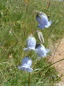 DSCF0144