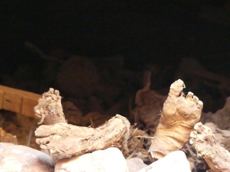 P1040190